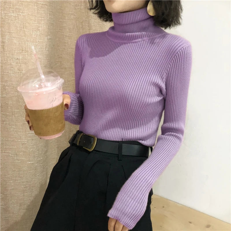 Kelly Knitted  Turtleneck Pullover Jumper