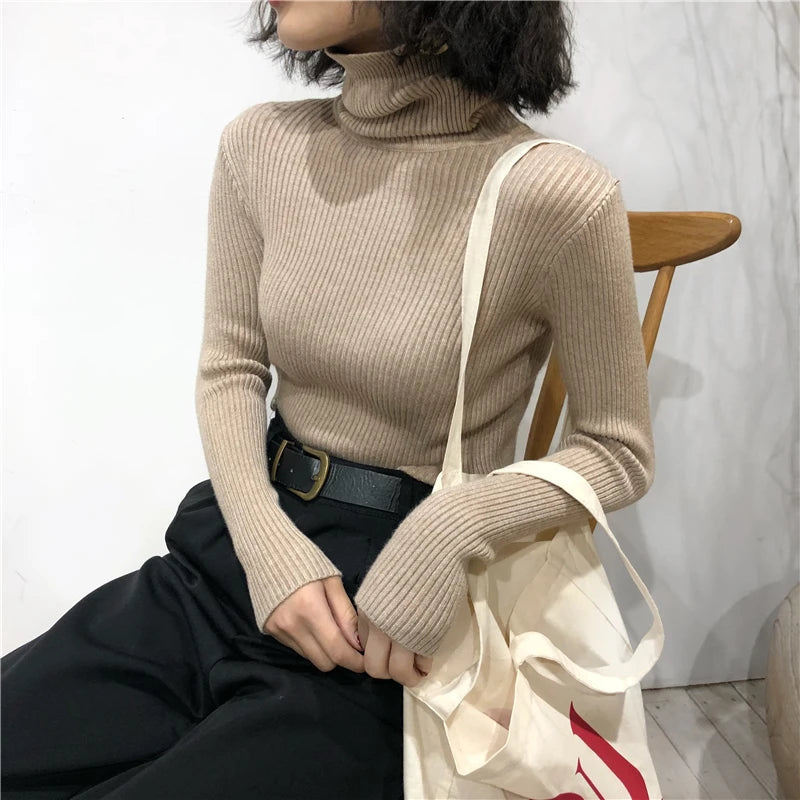 Kelly Knitted  Turtleneck Pullover Jumper