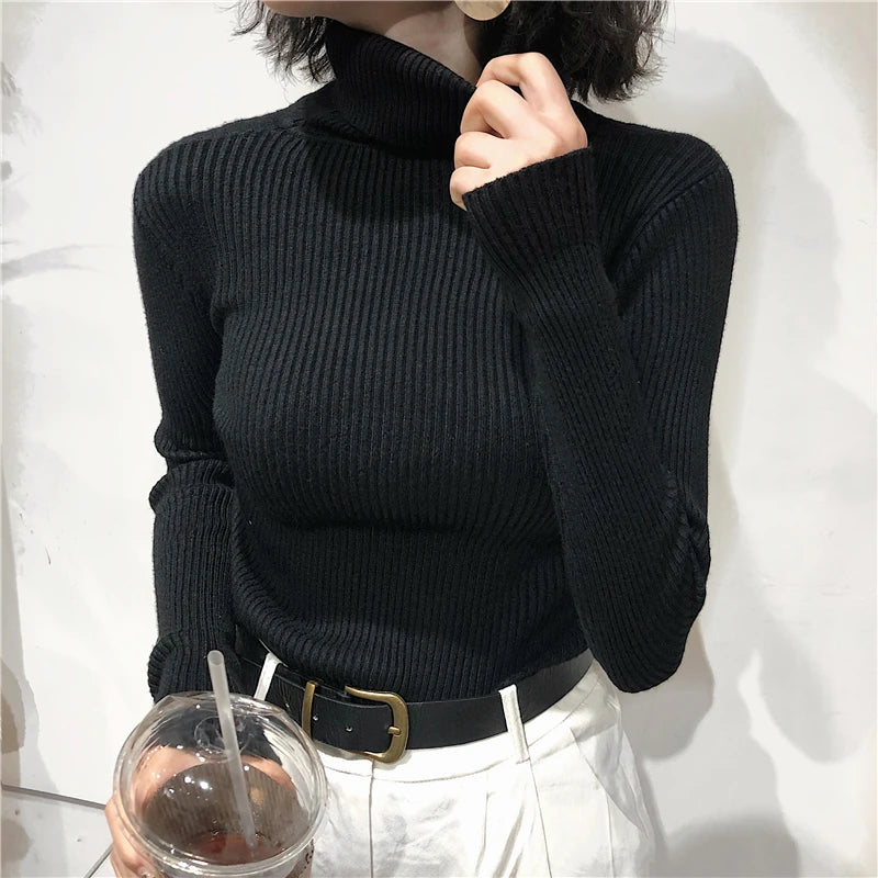 Kelly Knitted  Turtleneck Pullover Jumper