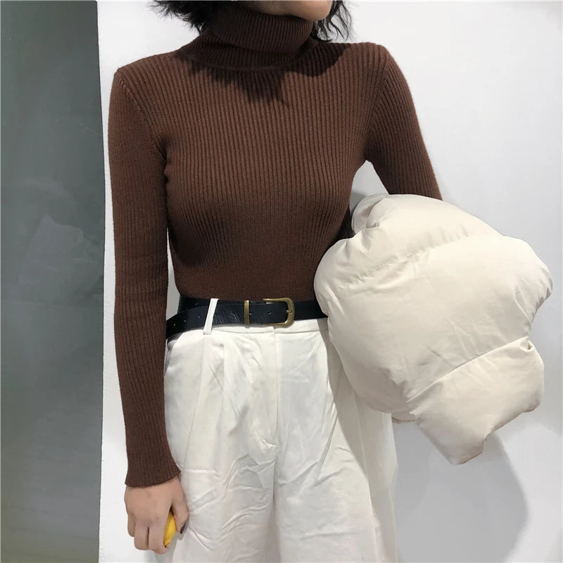 Kelly Knitted  Turtleneck Pullover Jumper