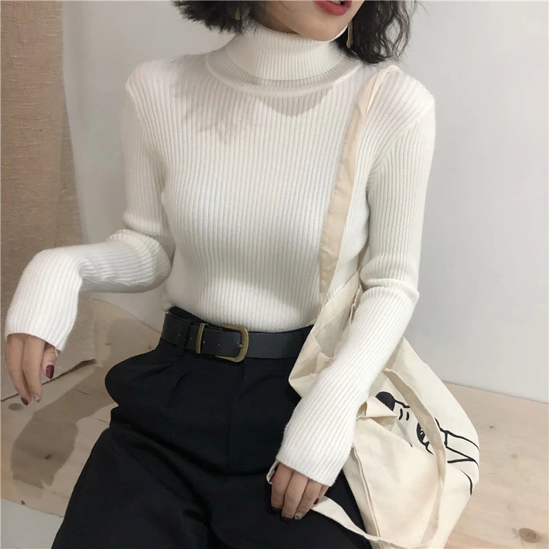 Kelly Knitted  Turtleneck Pullover Jumper