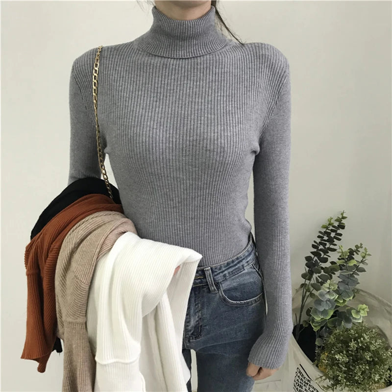 Kelly Knitted  Turtleneck Pullover Jumper