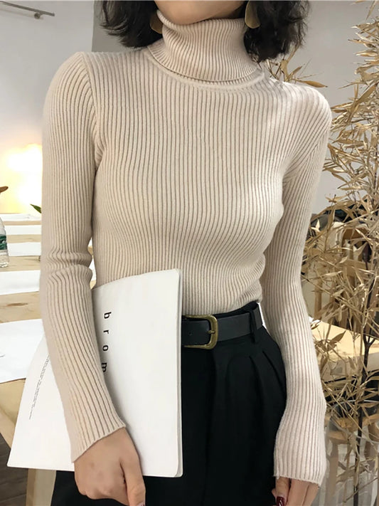 Kelly Knitted  Turtleneck Pullover Jumper