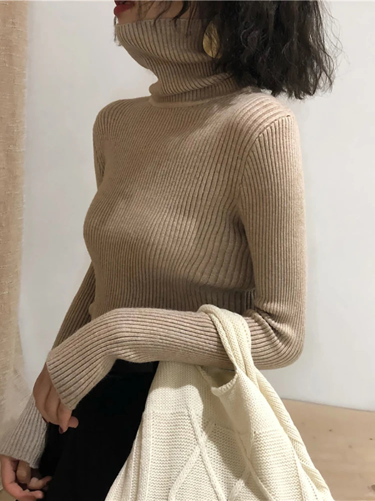 Kelly Knitted  Turtleneck Pullover Jumper