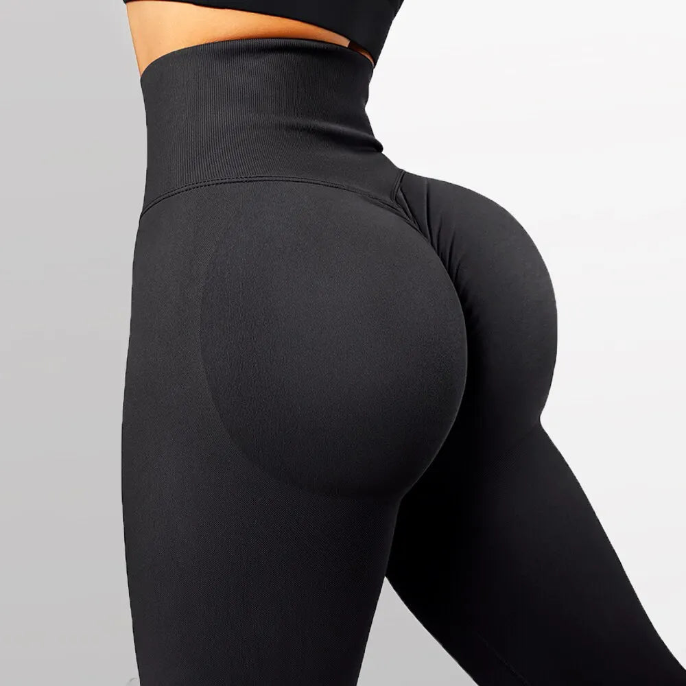 Holly High Waist Seamless Knitted Leggings