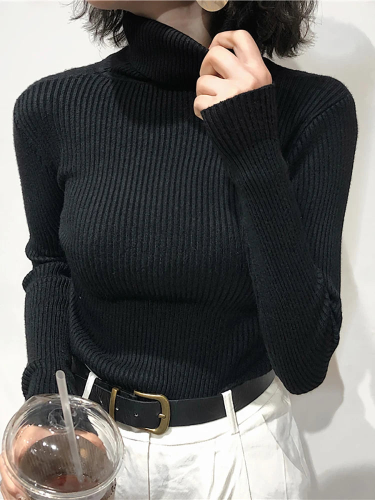 Kelly Knitted  Turtleneck Pullover Jumper